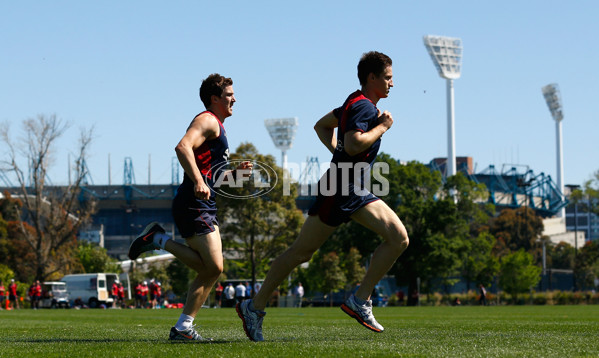 AFL 2013 Training - Melbourne 061113 - 307312