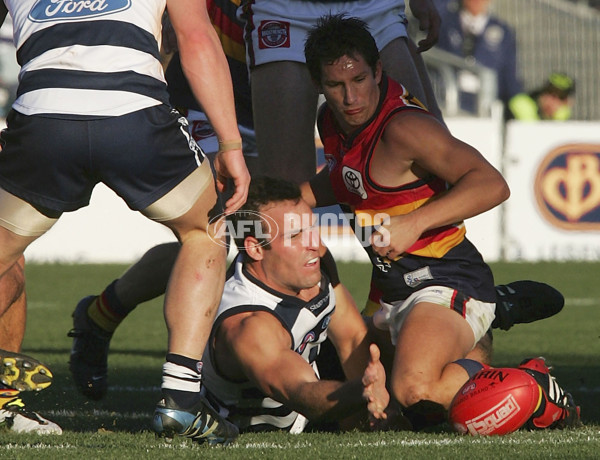 AFL 2005 Rd 12 - Geelong v Adelaide - 52657