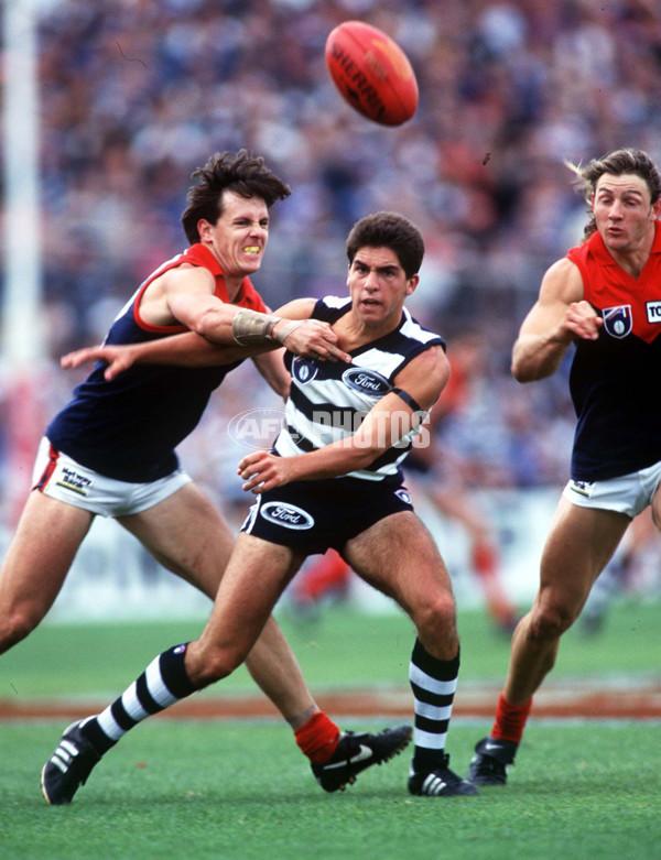 AFL 1995 Rd 17 - Geelong v Melbourne - A-37468095