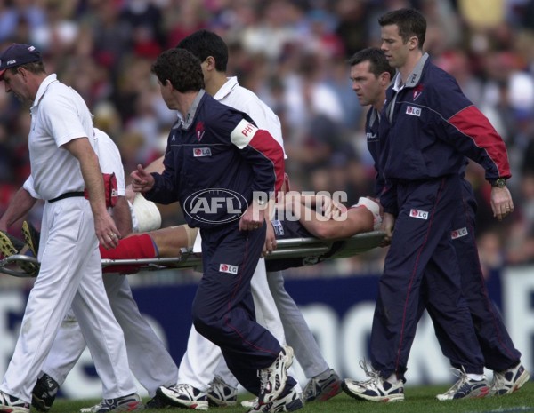 AFL 2000 Grand Final - Essendon v Melbourne - 151860