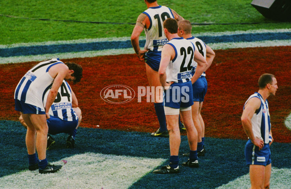 1998 AFL Grand Final - Adelaide v North Melbourne - 20998