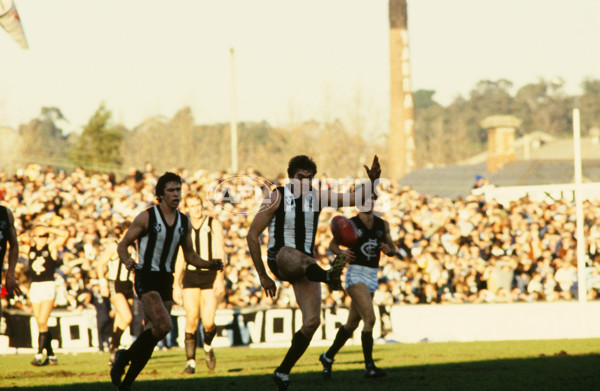VFL 1981 - Collingwood v Carlton - 22489