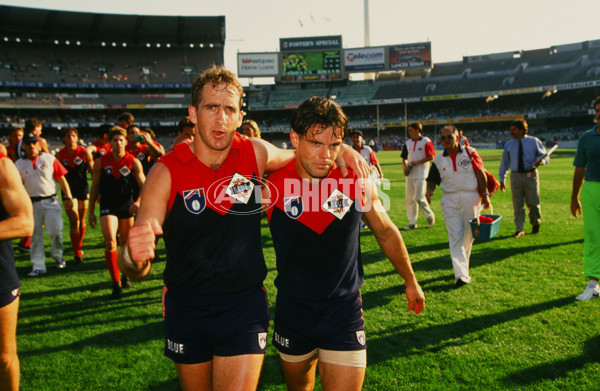 AFL 1990's - Melbourne Demons - 25694