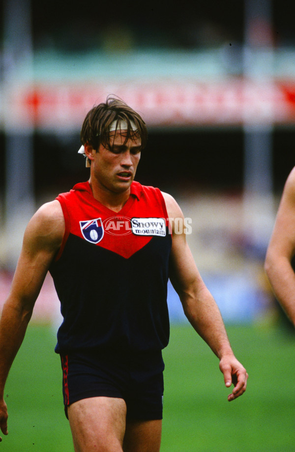 AFL 1992 Round 24 - Melbourne Demons - 25830