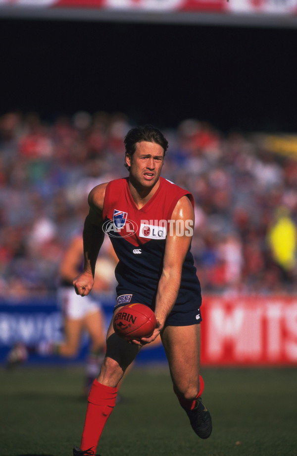 AFL 1990's - Melbourne Demons - 26227