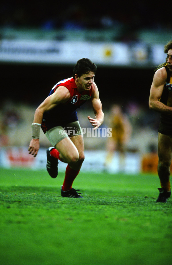 AFL 1992 Round 24 - Melbourne Demons - 26203