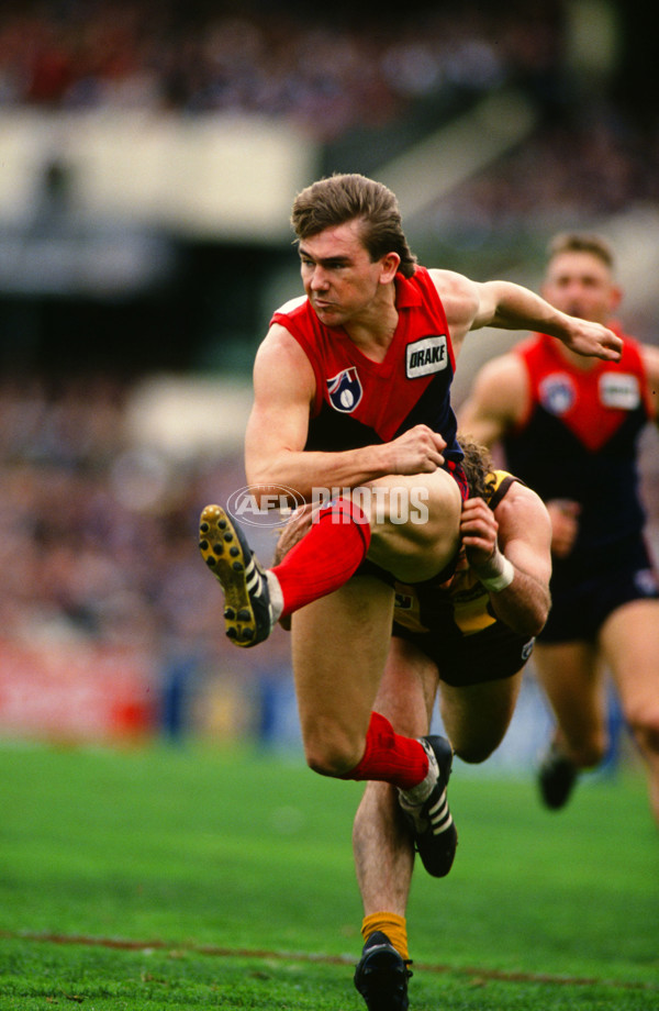 AFL 1990 - Melbourne Demons - 26223