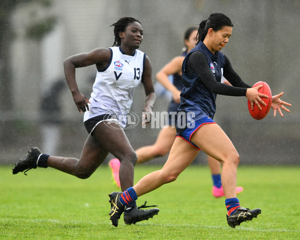 AFL 2023 Girls Victorian Diversity All-Stars - Vic Country v Vic Metro - A-40431149