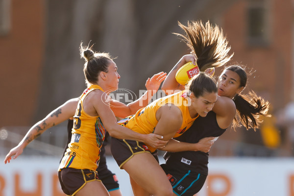 Photographers Choice - AFLW 2023 Round 09 - A-44952833